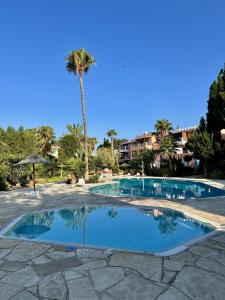 a swimming pool with a palm tree in the background at The Garden & Pool Townhouse in Paphos City