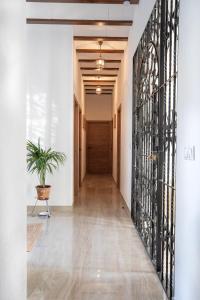 a hallway with a potted plant in a building at Casa Señorial La Iglesia con piscina y parking privado in Gerena