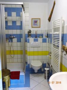 y baño azul y blanco con aseo y ducha. en Ferienwohnung Hermannstein, en Ilmenau