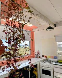 Gallery image of La Celeste casa de playa in Las Grutas