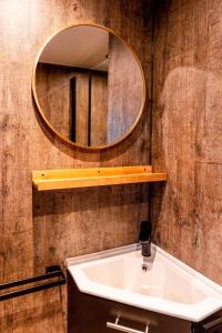 a bathroom with a sink and a mirror at Cozy Stay Veluwe met hottub in Putten
