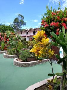 eine Gruppe von Pflanzen und Blumen in einem Garten in der Unterkunft Seu lar na Praia, Condomínio Vila Gustavo-excelente localização in Caraguatatuba