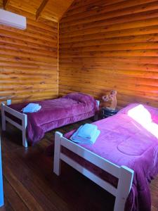 two beds in a room with wooden walls at Cabaña Un Lugar en el Mundo Lobos in Lobos +15 photos