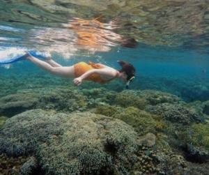 Ảnh trong thư viện ảnh của Bunaken Jhon Homestay ở Manado +14 ảnh