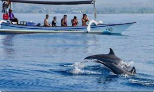 Ảnh trong thư viện ảnh của Bunaken Jhon Homestay ở Manado