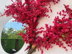 Gallery image of Apartments & Pool Villa White House in Pančevo