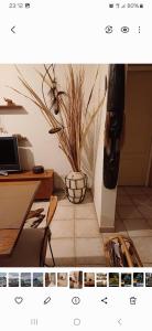 a room with a desk and a potted plant at Marina's House in La Spezia