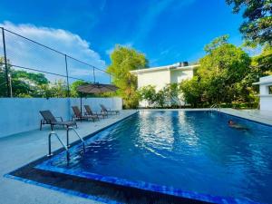 a swimming pool with two chairs and an umbrella at Forest Dew Udawalawa in Udawalawe