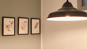 Cuatro dibujos enmarcados de flores en una pared con una luz en Dormitalería, en Pamplona