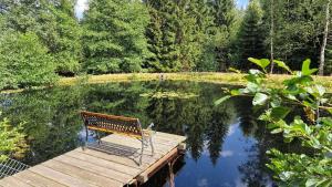 a bench sitting on a wooden dock next to a pond at Torfhaus Holzhau in Rechenberg-Bienenmühle