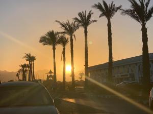 a car driving down a street with palm trees at Luxury Apartment Ritz Carlton in Sharm El Sheikh