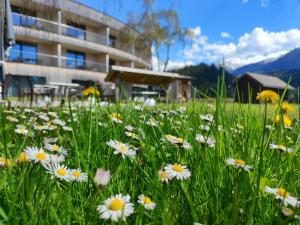 a field of flowers in front of a building at Landhotel Das Stocker in Vorderstoder