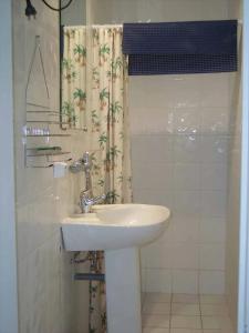 MeynesにあるVilla charmante à Meynes avec piscine privéeの洗面台とシャワーカーテン付きのバスルーム