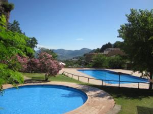 two swimming pools in a yard with trees and flowers at Apartamentos La Iruela 2 in La Iruela