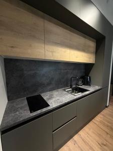 Η κουζίνα ή μικρή κουζίνα στο Knightsbridge Residence Baku