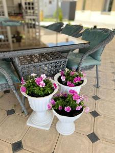 three white vases filled with flowers on a table at Guest House "Midnight" in Talas +20 photos