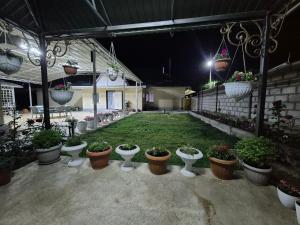 a group of potted plants in a yard at night at Guest House "Midnight" in Talas