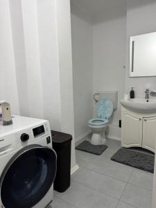 a bathroom with a washing machine and a toilet at Apartament Alex in Mediaş +12 photos