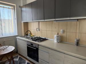 a kitchen with a stove and a sink at Apartament Alex in Mediaş