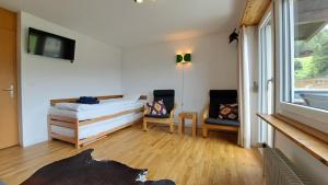 Μια τηλεόραση ή/και κέντρο ψυχαγωγίας στο Sunny 5 guests apartment by Moosfluh gondola