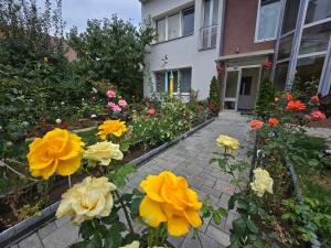 a group of flowers in front of a house at Rodica Apartment in Sibiu