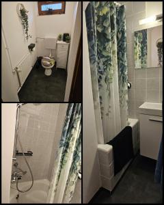 a bathroom with a shower and a toilet and a sink at Panoramablick Bermersbach in Forbach