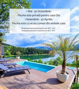 a poster for a villa with a view of a lake at Moon Lake Bicaz - Casa Imero in Buhalniţa