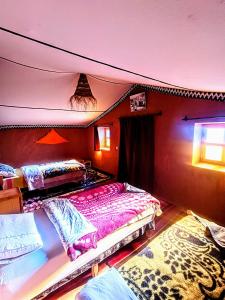 Katil atau katil-katil dalam bilik di The dune camp
