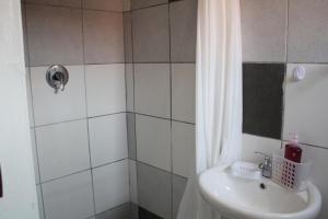 a bathroom with a sink and a shower curtain at Newlands Comfortable Abode in Johannesburg