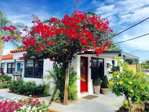 ein Haus mit einer roten Tür und einem Baum mit roten Blumen in der Unterkunft Oasis Hotel in Fort Lauderdale