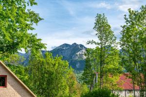 a mountain in the distance with trees and houses at Eco House Nevidio in Šavnik