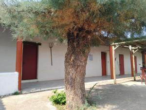 Budova, kde se apartmán nachází + 3 fotografie