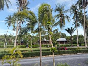 通萨拉Zout Villas的房屋前一条种有棕榈树的街道