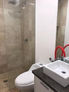 a bathroom with a toilet and a sink and a shower at Flor de Lis Suite in Hacienda Rumihuaicu