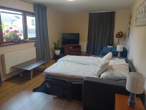 a bedroom with a large bed and a television at Útulný Domček Privat Bedrich in Poprad +30 photos