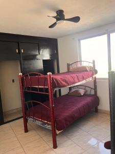 2 Etagenbetten in einem Zimmer mit Deckenventilator in der Unterkunft La Casa de las Aguas B&B in Ixmiquilpan