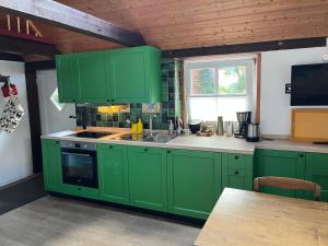 a kitchen with green cabinets and a sink at Ferienhaus in Rumke in Bippen +12 photos