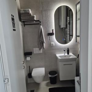 un bagno con un water, un lavandino e uno specchio di V i N Boutique Apartment a Niš