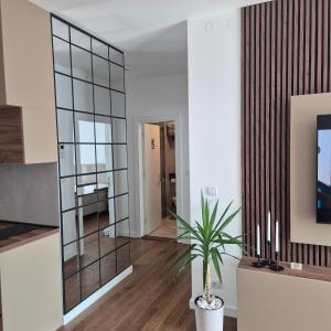 un grande specchio in un soggiorno con una pianta in vaso di V i N Boutique Apartment a Niš Altre 4 foto