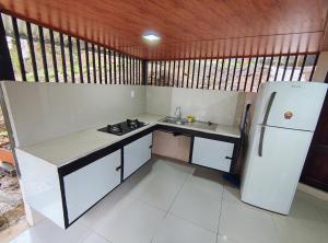 une petite cuisine avec un réfrigérateur et un évier dans l'établissement Corcovado Paradise Lodge, à Drake 26 autres photos