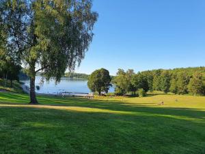 Příroda nedaleko prázdninového domu + 29 fotografií