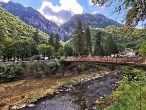 a bridge over a river with mountains in the background at Apartament Serenity in Băile Herculane