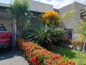 a garden of flowers in front of a building at Casa Cop30 Belém in Belém