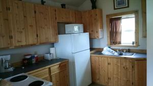 Kuchyň nebo kuchyňský kout v ubytování Denali's Alaskan Spruce Cabins