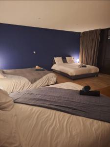 a bedroom with two beds and a blue wall at Les terrasses du golf in Égat +18 photos