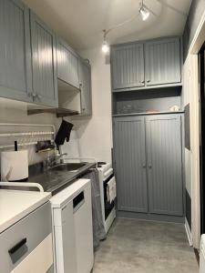 Kuchyň nebo kuchyňský kout v ubytování Appartement moderne tout équipé