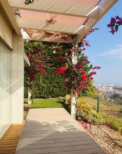 Κήπος έξω από το Luxury House on the Cliff