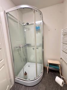 a shower with a glass enclosure in a bathroom at Holiday Home in town Eyrarbakki South of Iceland - Birta Rentals in Eyrarbakki +34 photos