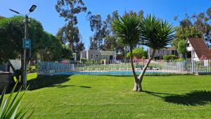 a small palm tree in a yard next to a fence at De Peppino Cabañas in Papudo