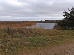 Φωτογραφία από το άλμπουμ του 10 person holiday home in Fjerritslev-By Traum σε Fjerritslev